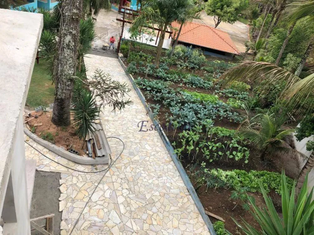 Sítio, 5 quartos, 3 hectares - Foto 4