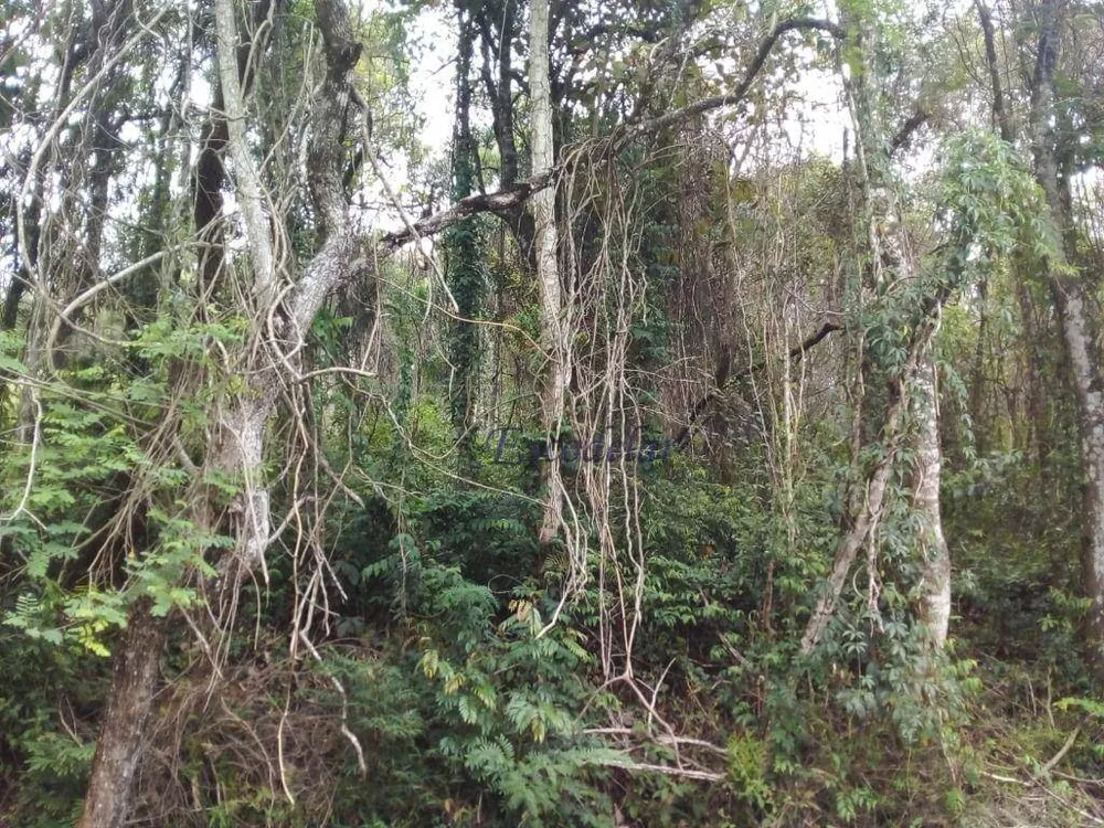 Loteamento e Condomínio à venda, 1632M2 - Foto 5