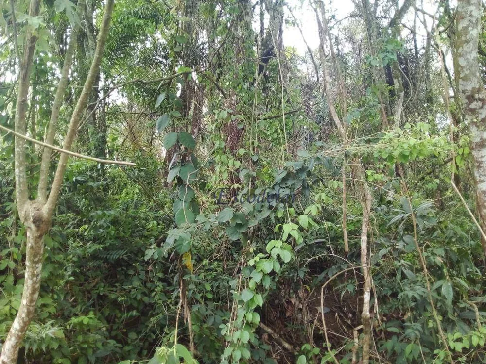 Loteamento e Condomínio à venda, 1632M2 - Foto 11