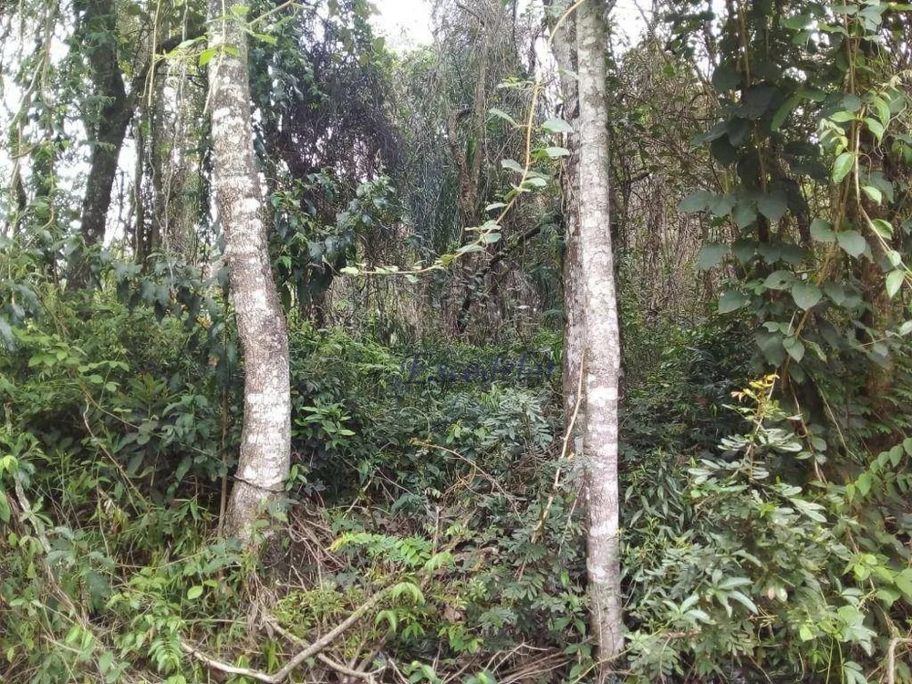 Loteamento e Condomínio, 1632 m² - Foto 14