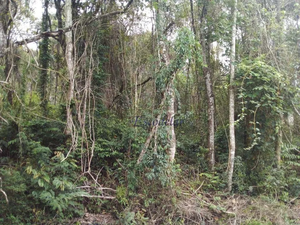 Loteamento e Condomínio à venda, 1632M2 - Foto 4