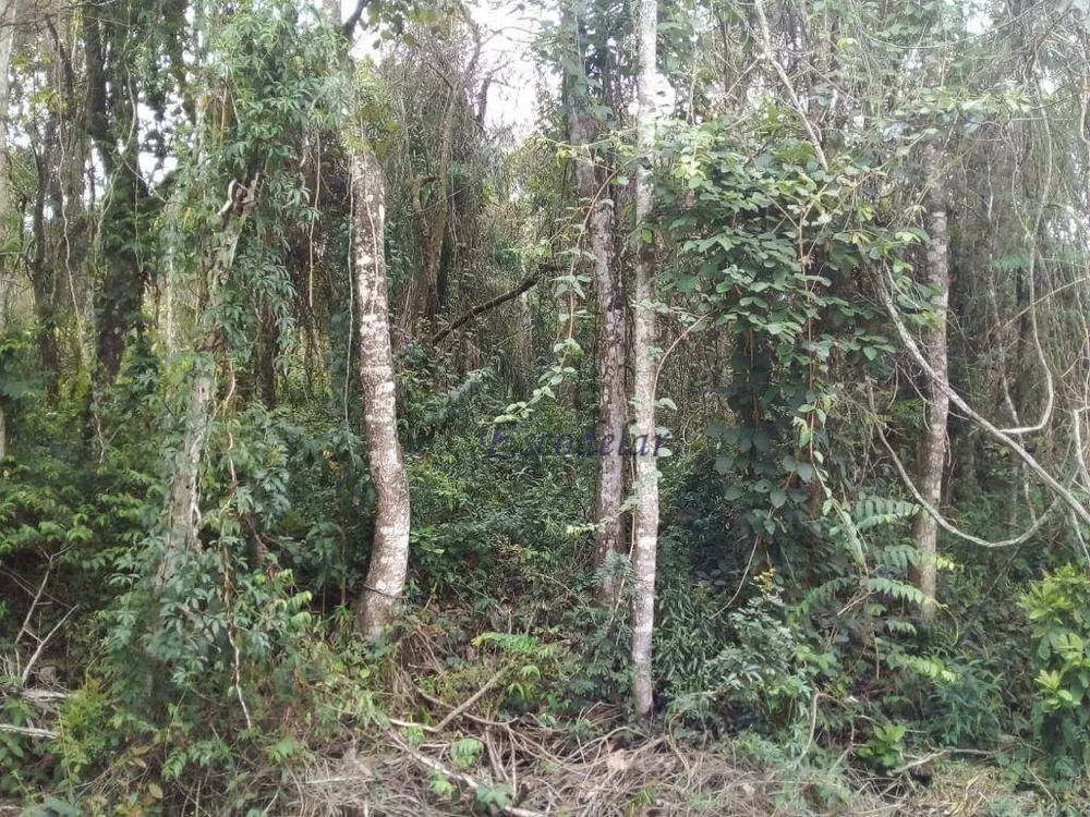 Loteamento e Condomínio à venda, 1632M2 - Foto 1