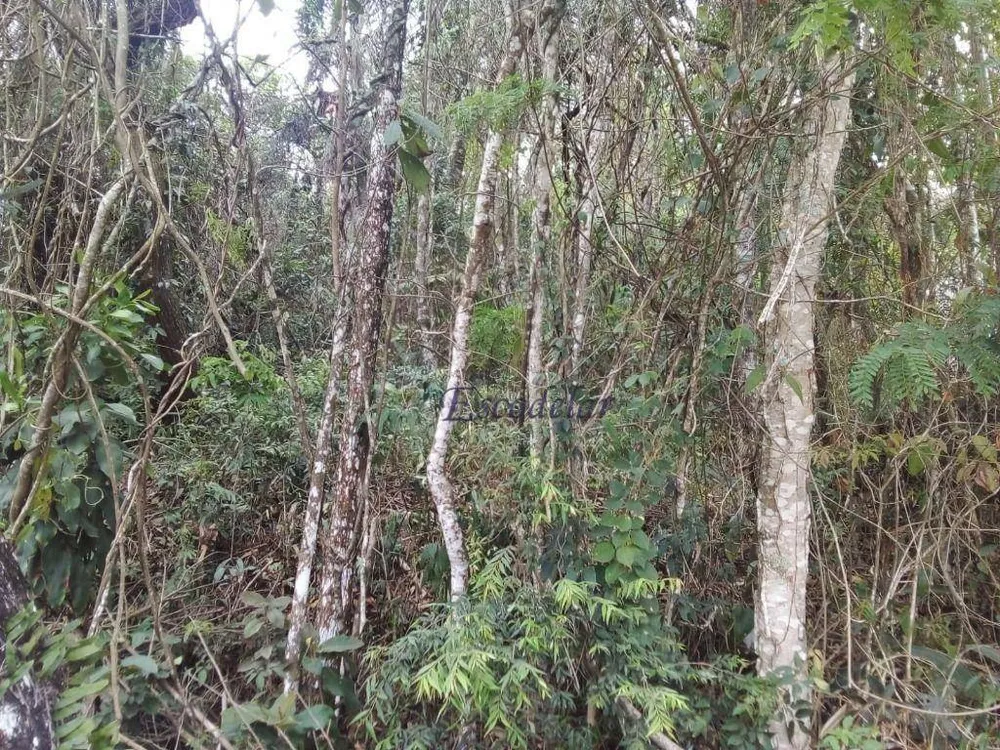 Loteamento e Condomínio, 1632 m² - Foto 15