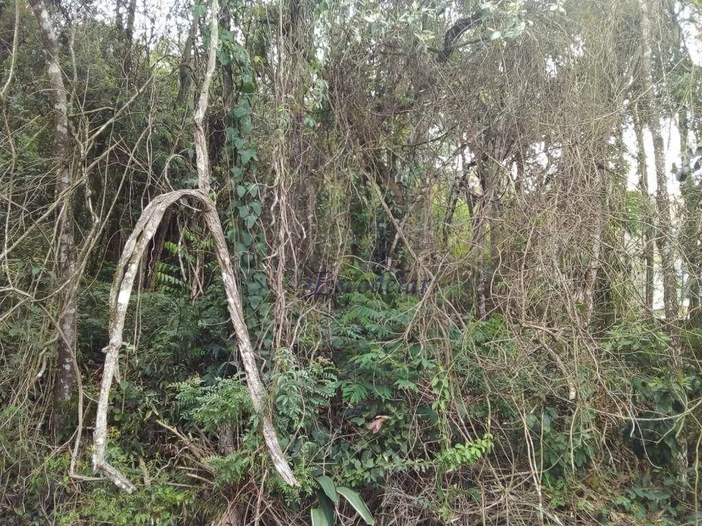 Loteamento e Condomínio à venda, 1632M2 - Foto 2