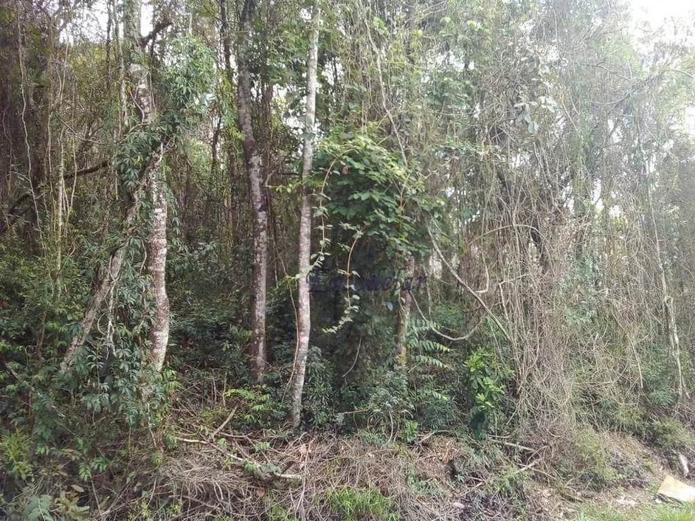 Loteamento e Condomínio à venda, 1632M2 - Foto 3