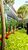 Apartamento, 3 quartos, 148 m² - Foto 4