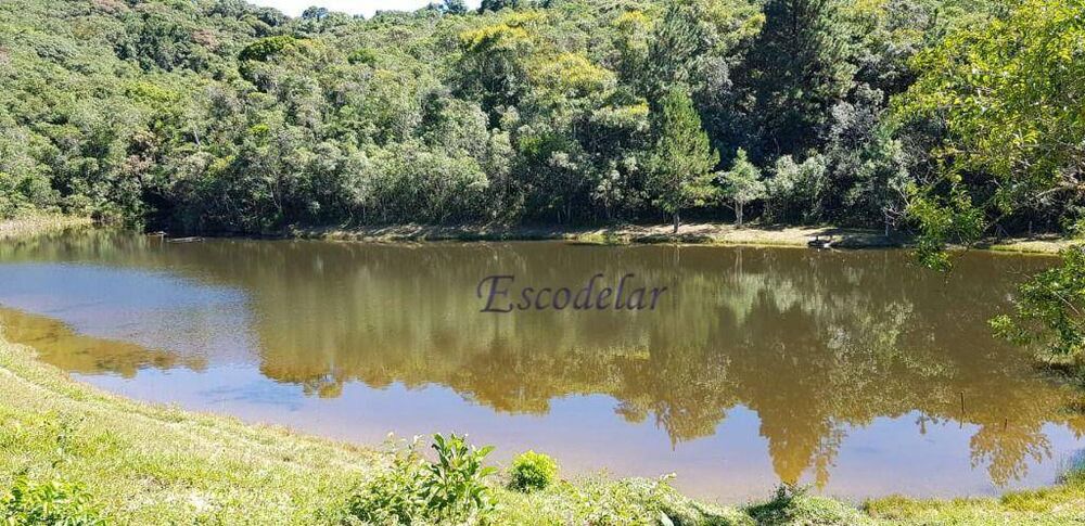 Sítio, 5 quartos, 17 hectares - Foto 1