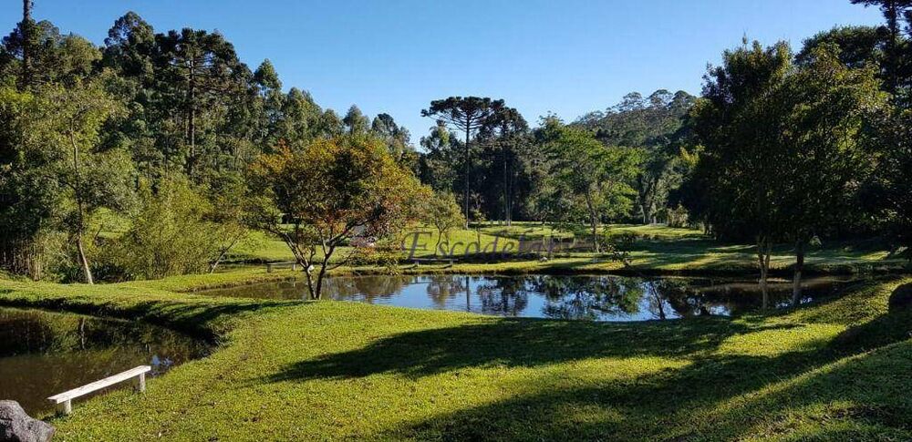 Sítio, 5 quartos, 17 hectares - Foto 3