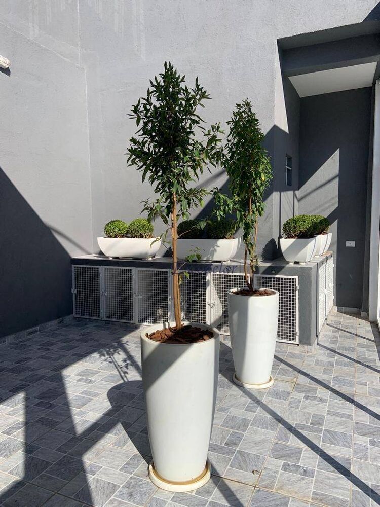 Sobrado, 24 quartos, 516 m² - Foto 3
