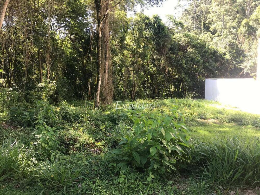 Loteamento e Condomínio, 293 m² - Foto 2