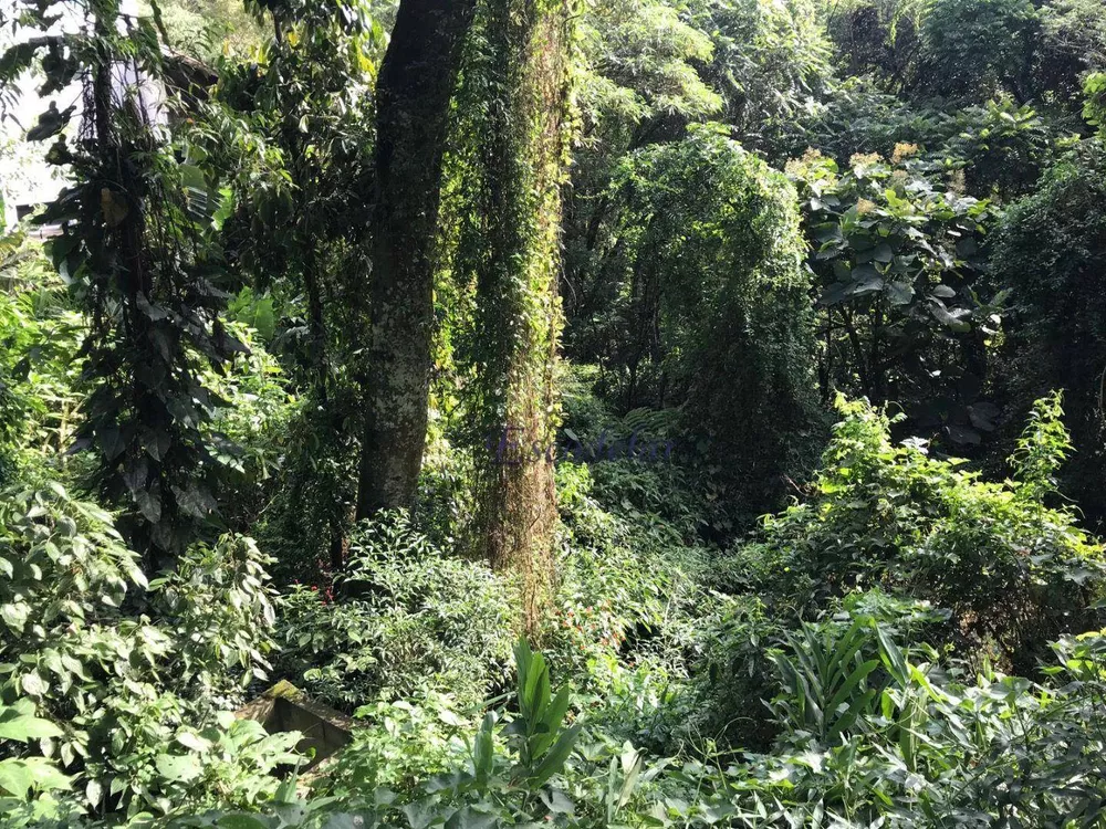 Loteamento e Condomínio à venda, 1098M2 - Foto 4