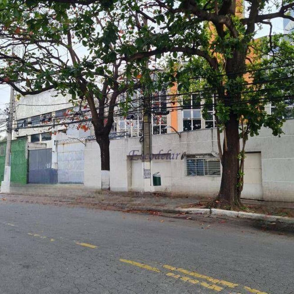 Depósito-Galpão, 3600 m² - Foto 2
