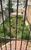 Terreno, 225 m² - Foto 4