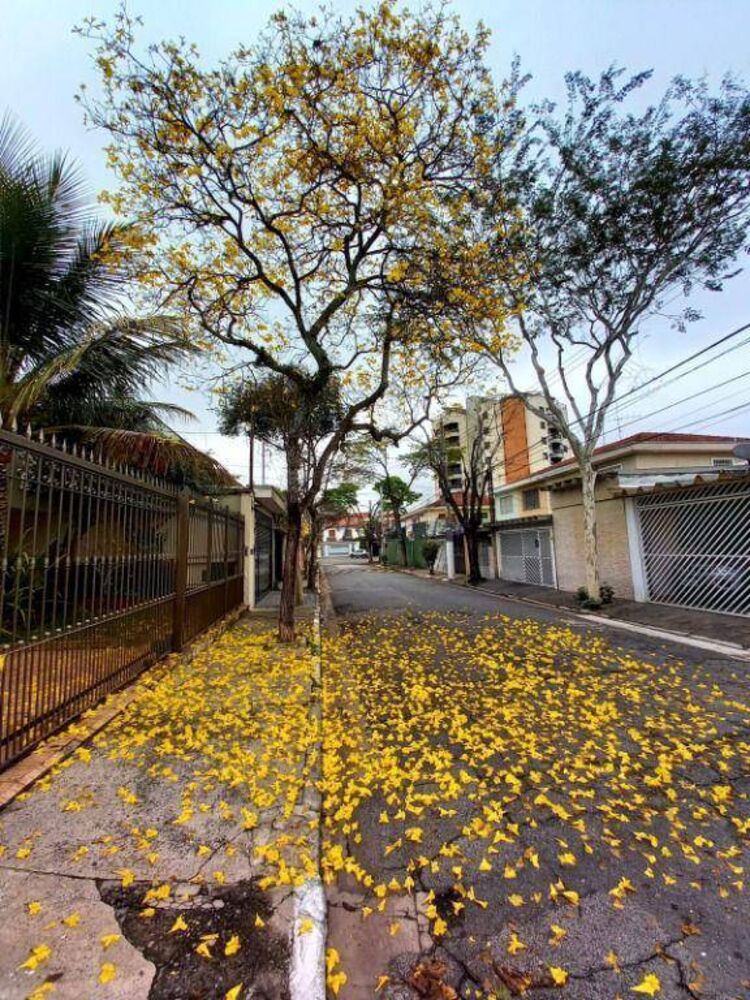Sobrado, 4 quartos, 230 m² - Foto 1