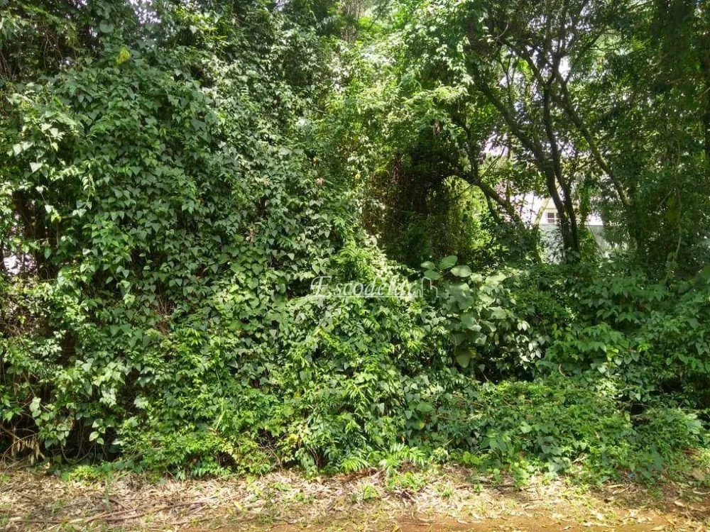 Loteamento e Condomínio, 340 m² - Foto 3