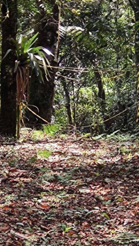 Loteamento e Condomínio, 5000 m² - Foto 7