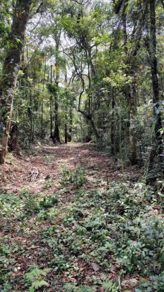 Loteamento e Condomínio à venda, 5000M2 - Foto 4