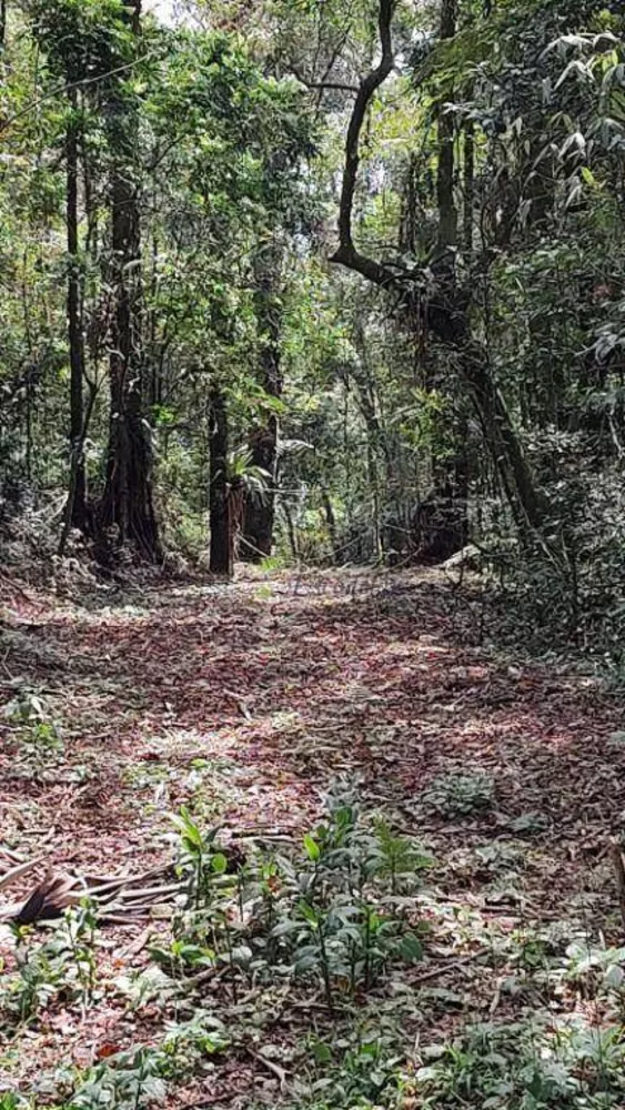 Loteamento e Condomínio à venda, 5000M2 - Foto 2