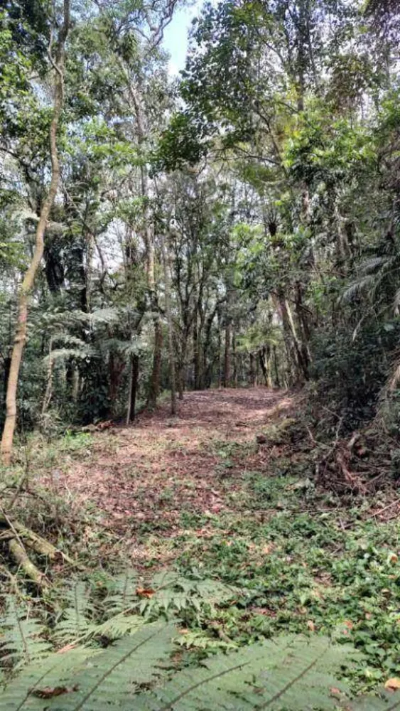 Loteamento e Condomínio à venda, 5000M2 - Foto 3