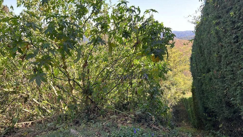 Terreno à venda, 1000M2 - Foto 4