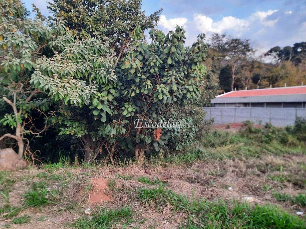 Terreno, 300 m² - Foto 7
