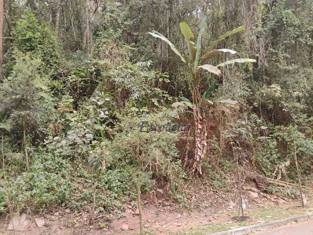 Terreno, 1100 m² - Foto 8