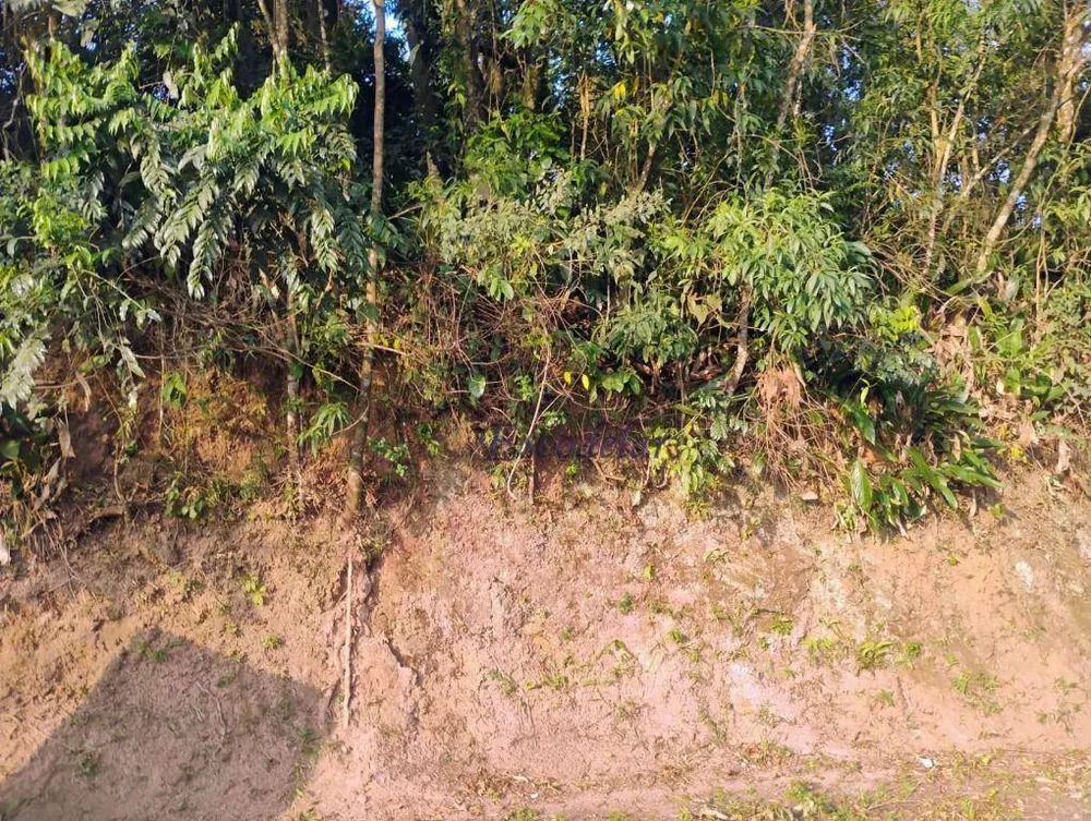 Terreno, 1100 m² - Foto 5