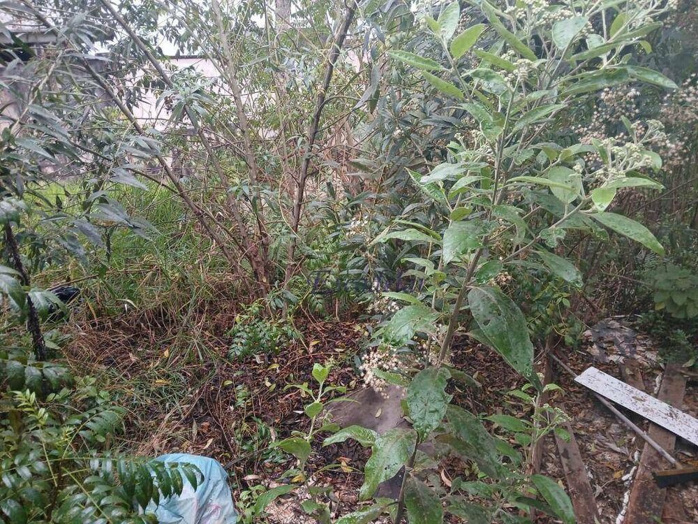 Terreno, 250 m² - Foto 2