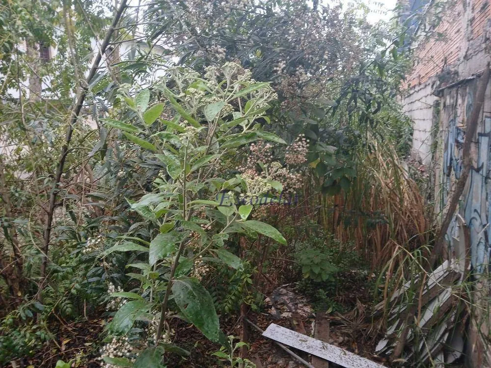 Terreno, 250 m² - Foto 6