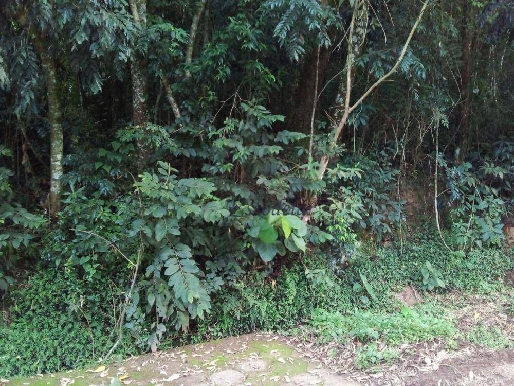 Terreno, 919 m² - Foto 7