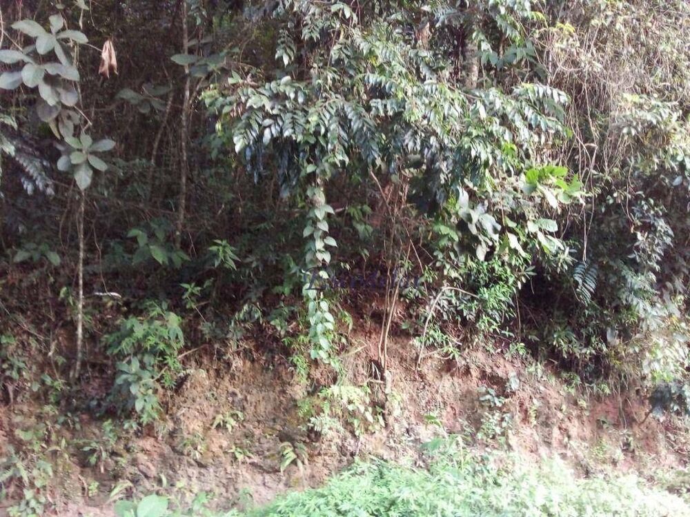 Terreno, 919 m² - Foto 6