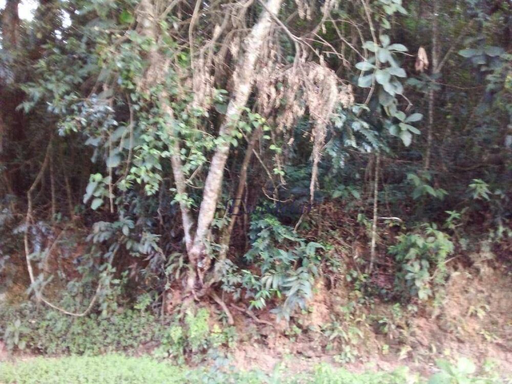 Terreno, 919 m² - Foto 5