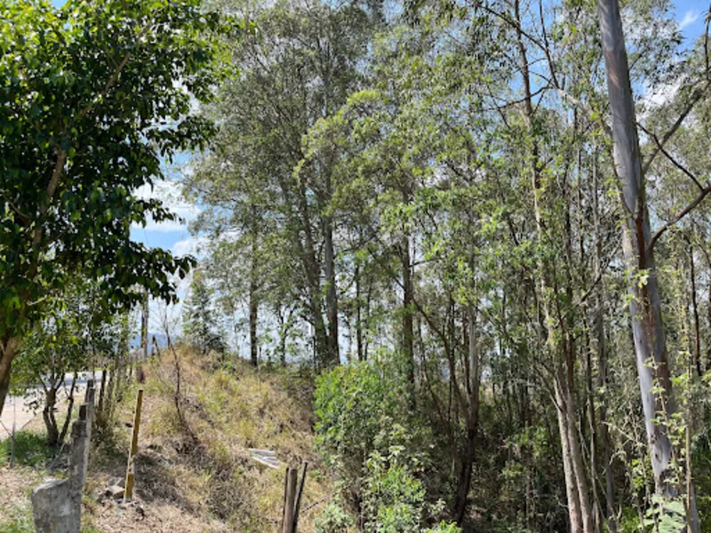 Terreno, 695 m² - Foto 5