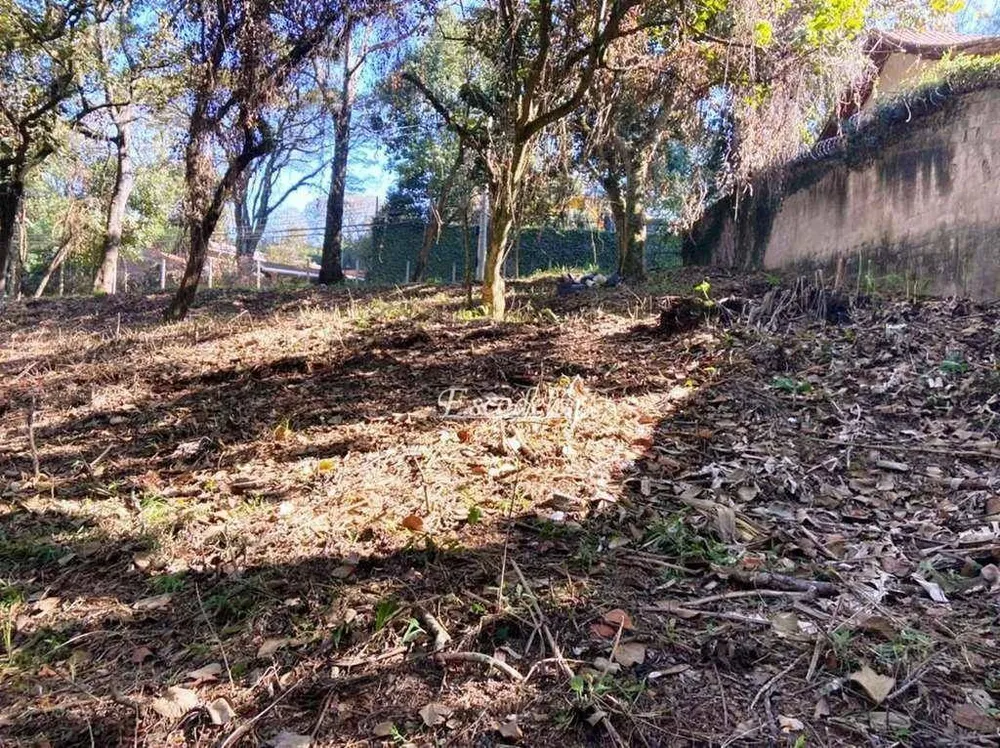 Terreno, 2334 m² - Foto 3