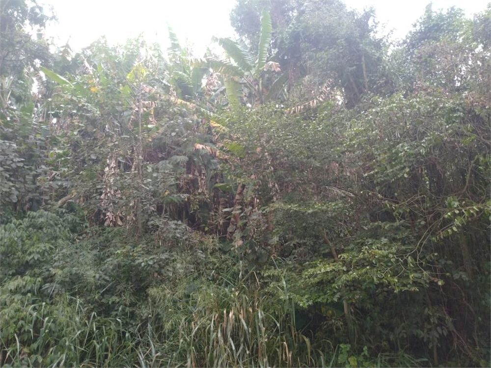 Terreno, 312 m² - Foto 17
