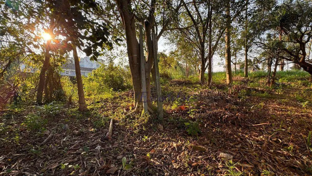 Terreno, 225 m² - Foto 6