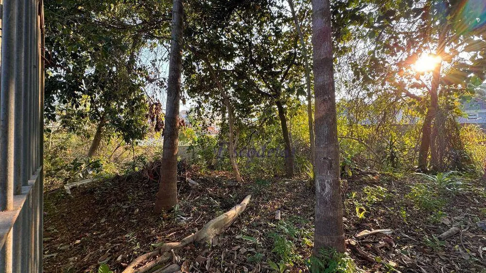 Terreno, 225 m² - Foto 7