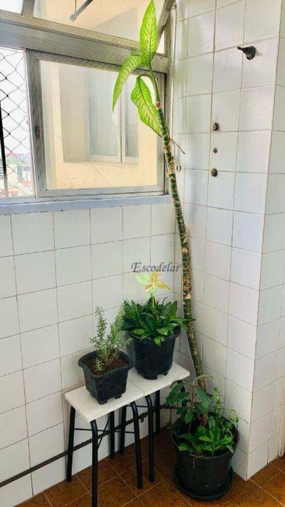 Apartamento, 3 quartos, 80 m² - Foto 8