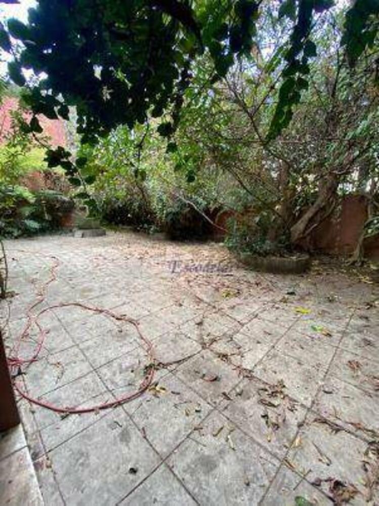 Casa, 4 quartos, 656 m² - Foto 6