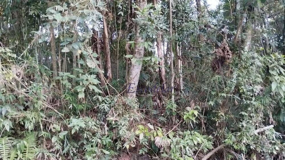 Loteamento e Condomínio, 1500 m² - Foto 4