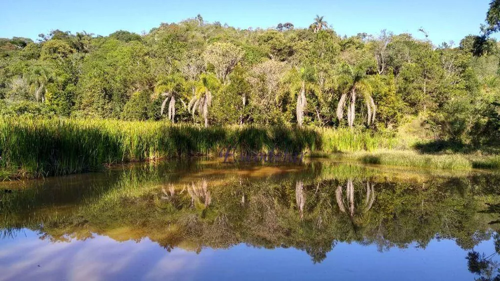 Sítio, 6 quartos, 29 hectares - Foto 20