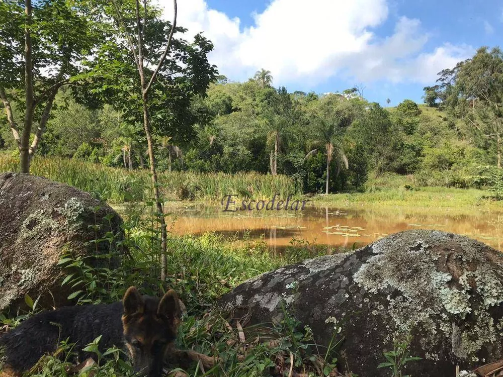 Sítio, 6 quartos, 29 hectares - Foto 16