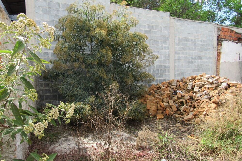 Terreno, 126 m² - Foto 5
