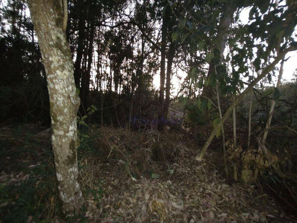 Terreno, 1125 m² - Foto 8