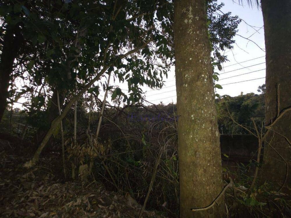 Terreno, 1125 m² - Foto 5