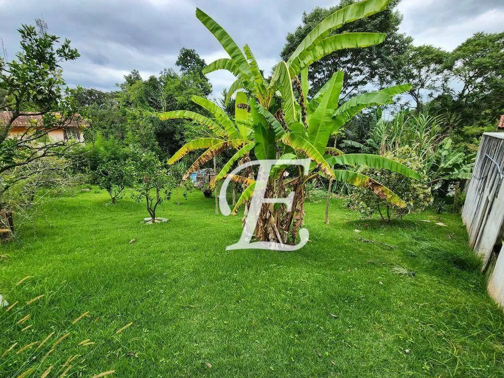 Chácara, 1 quarto, 960 m² - Foto 4
