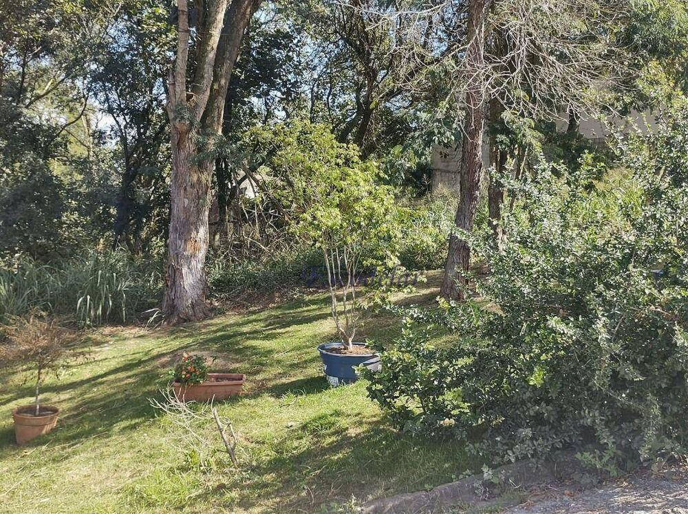Terreno, 839 m² - Foto 4