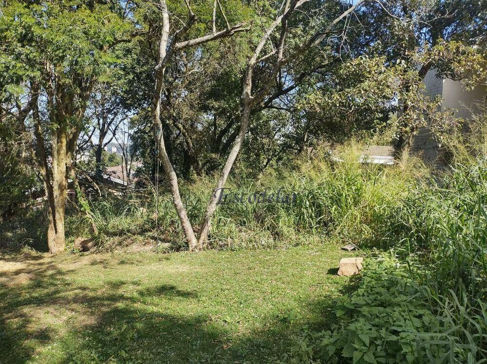 Terreno, 839 m² - Foto 3