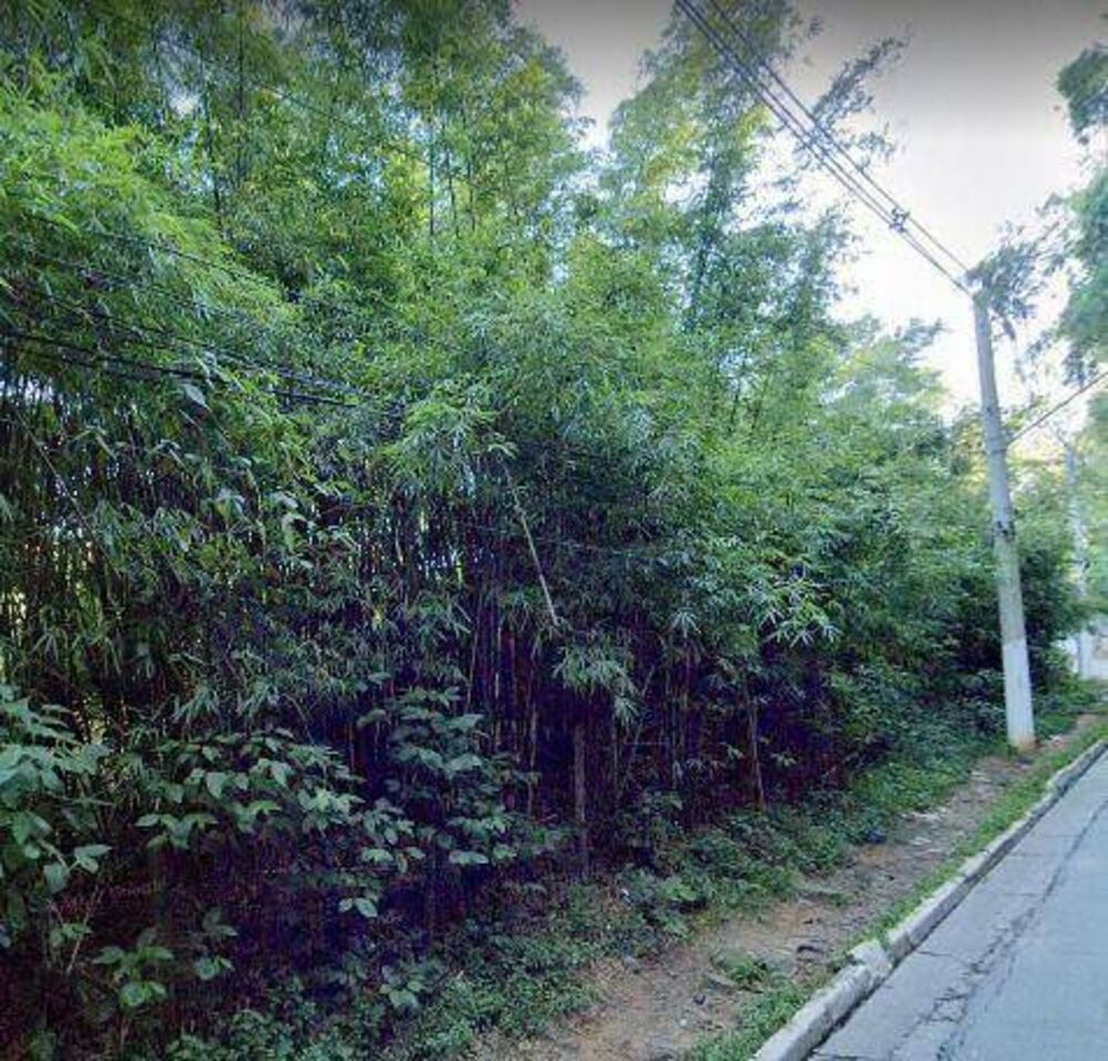 Terreno, 3 hectares - Foto 4