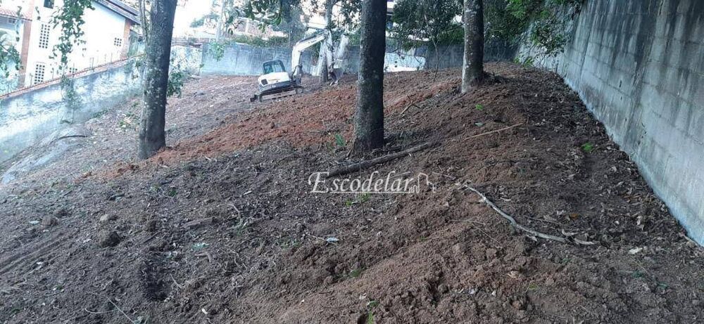 Terreno, 250 m² - Foto 4